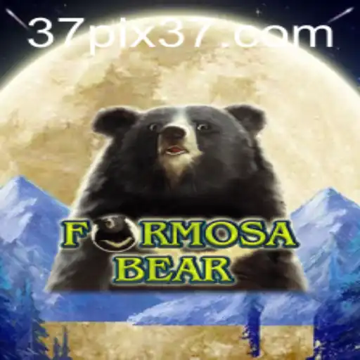 Discovering FormosaBear: A Journey Through the World of 37pix